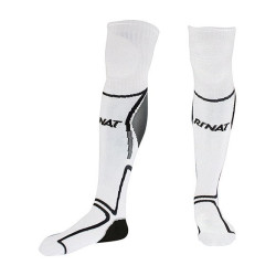 média porte clássico