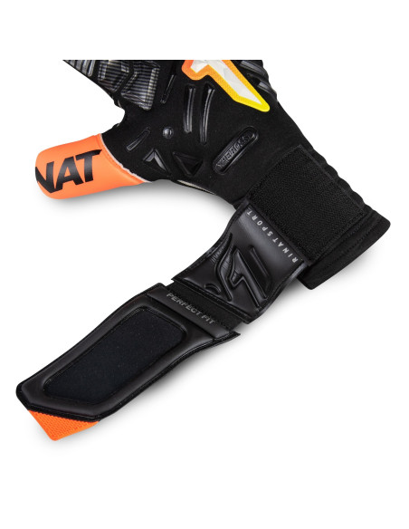 Il capo stellare alfa (AD)