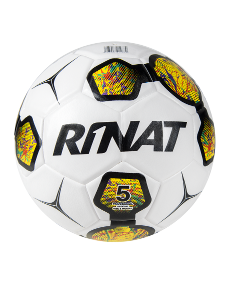 palla da calcio ariese