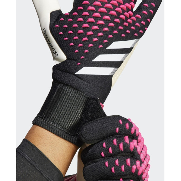 Concorso Predator Pro NC