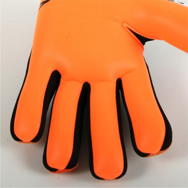 ERSTE EVOLUTION MARK NG