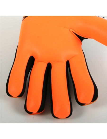 ERSTE EVOLUTION MARK NG