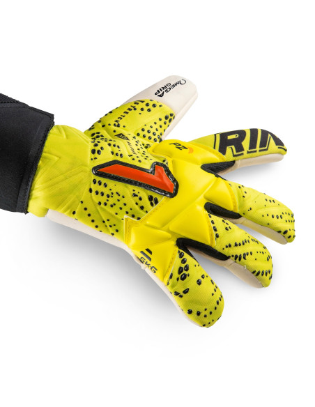 XTREME GUARD DOMINIUS ALPHA