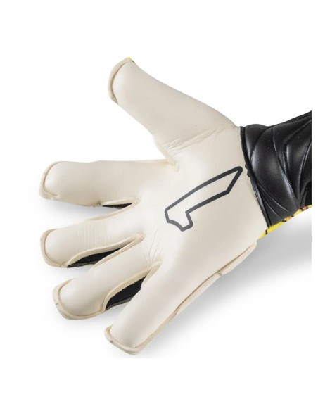 XTREME GUARD DOMINIUS PRO