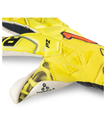 XTREME GUARD DOMINIUS PRO