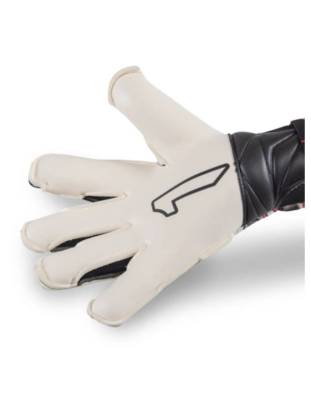 XTREME GUARD DOMINIUS PRO