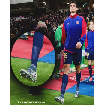 kingsguard spinner 2