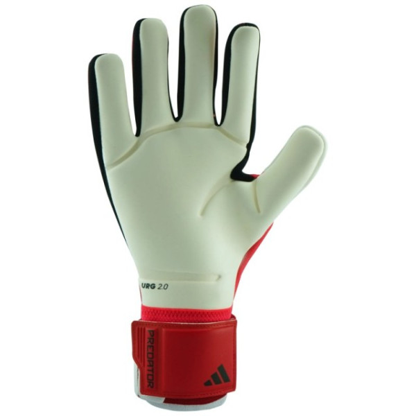 PREDATOR COMPETITION PURE VICT