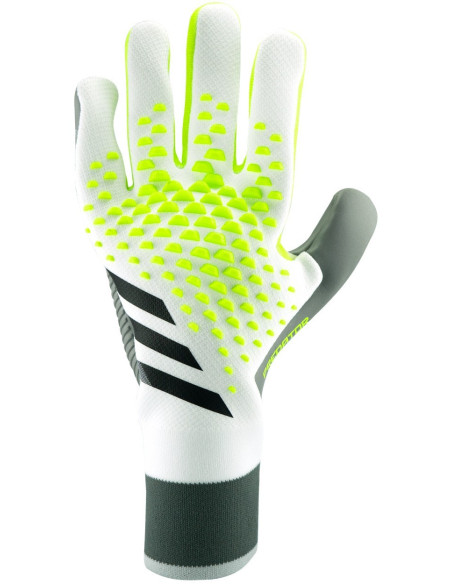 PREDATOR PRO NC VERRÜCKT