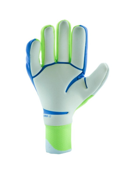 Handschuhe mit Adidas Predator Pro Fs Celestial Victory