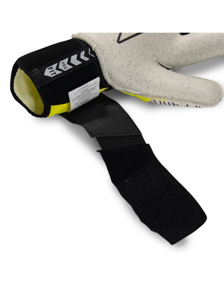 Egoko stellar alfa[Ad]