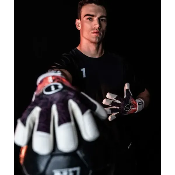 zeus Phoenix UGT Pose Remote