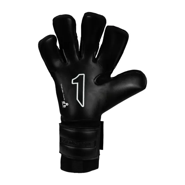 corte del santolo pro joan garcia