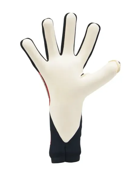 Toride Limited Edition