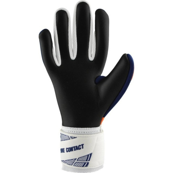 CONTEÚDO DE CONCORRÊNCIA