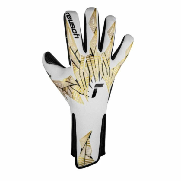 PURE CONTACTO X GluePrint