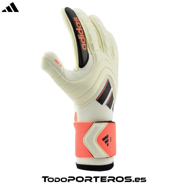 COPA PRO ENERGIA SOLAR