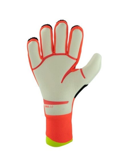 PREDATOR PRO NC SOLAR Energie