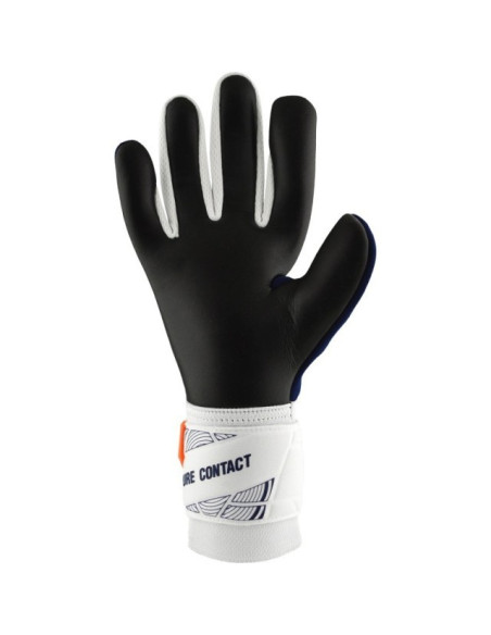 REINES KONTAKTSILBER