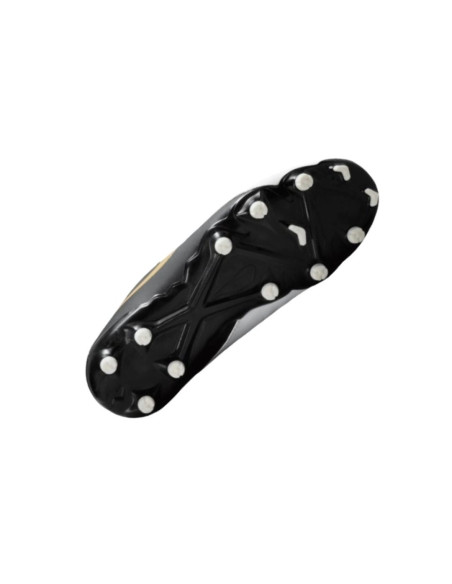 Phantom GX II-Akademie