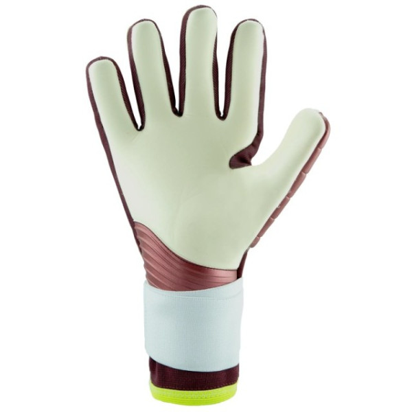 COPA PRO ENERGY Citrus